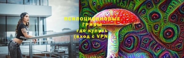 a pvp Белоозёрский