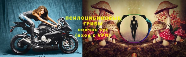 a pvp Белоозёрский