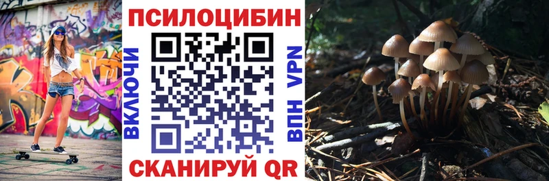 ОМГ ОМГ ССЫЛКА  Невель  Галлюциногенные грибы MAGIC MUSHROOMS  как найти закладки 